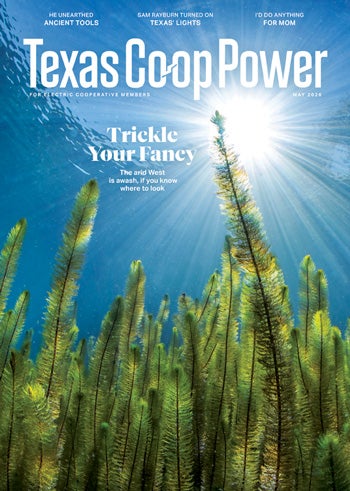 Texas Co-op Power May Cover underwater with tall green grass